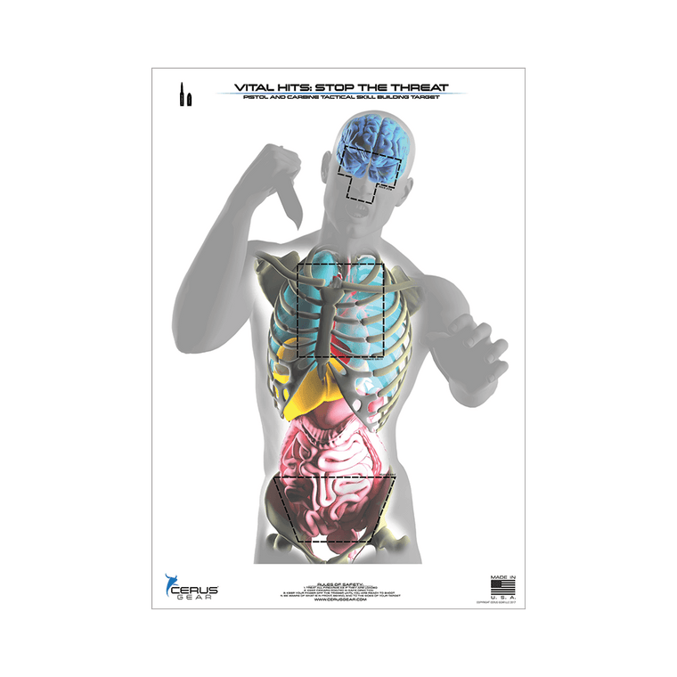 Vital Hits Target Pack