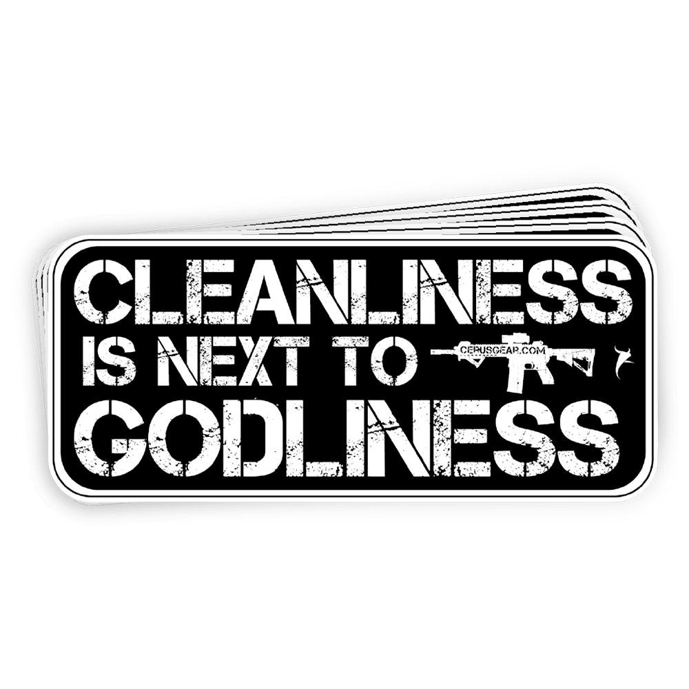 Cleanliness Is Next To Godliness Decal Die Cut Sticker Indoor/Outdoor Use Size: 4" x 1.75"