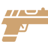 Protect   Firearms
